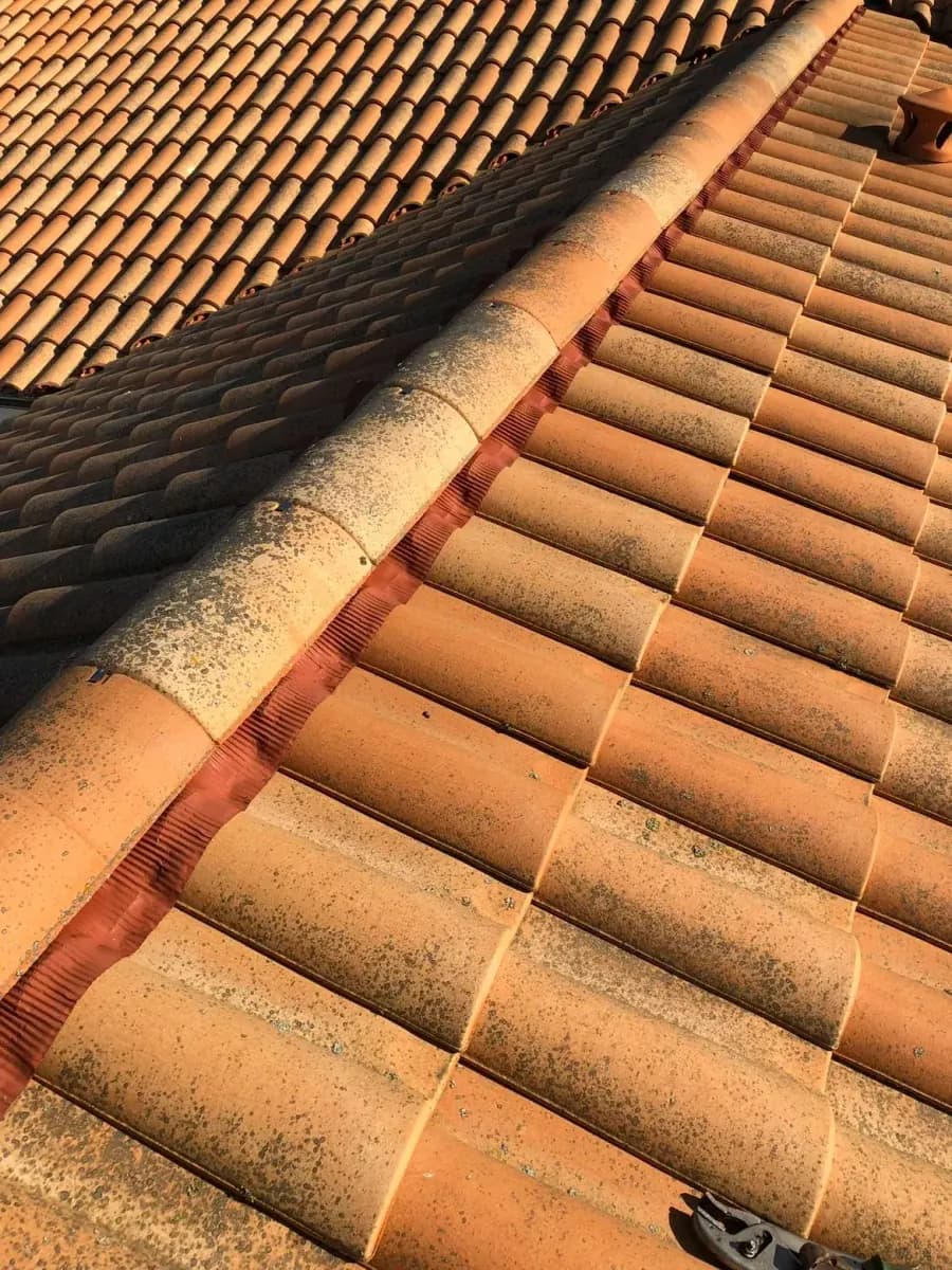 Toiture après rénovation