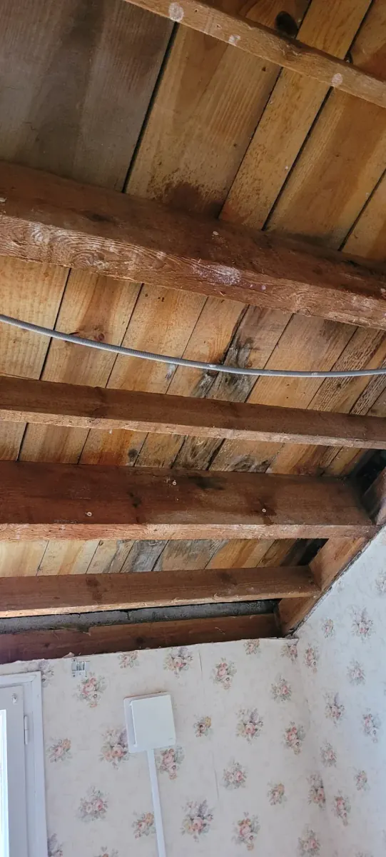 Application traitement